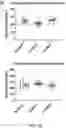 Fig. 06 - LOSS OF FUNCTION RODENT MODEL OF SOLUTE CARRIER 39 MEMBER 5
