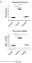 Fig. 07 - LOSS OF FUNCTION RODENT MODEL OF SOLUTE CARRIER 39 MEMBER 5