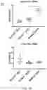Fig. 10 - LOSS OF FUNCTION RODENT MODEL OF SOLUTE CARRIER 39 MEMBER 5