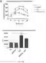 Fig. 15 - LOSS OF FUNCTION RODENT MODEL OF SOLUTE CARRIER 39 MEMBER 5