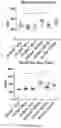 Fig. 20 - LOSS OF FUNCTION RODENT MODEL OF SOLUTE CARRIER 39 MEMBER 5
