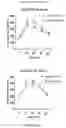 Fig. 23 - LOSS OF FUNCTION RODENT MODEL OF SOLUTE CARRIER 39 MEMBER 5