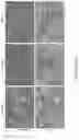 Fig. 25 - LOSS OF FUNCTION RODENT MODEL OF SOLUTE CARRIER 39 MEMBER 5