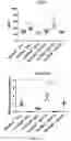 Fig. 27 - LOSS OF FUNCTION RODENT MODEL OF SOLUTE CARRIER 39 MEMBER 5