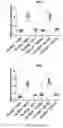 Fig. 28 - LOSS OF FUNCTION RODENT MODEL OF SOLUTE CARRIER 39 MEMBER 5