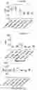 Fig. 34 - LOSS OF FUNCTION RODENT MODEL OF SOLUTE CARRIER 39 MEMBER 5