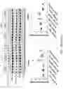 Fig. 40 - LOSS OF FUNCTION RODENT MODEL OF SOLUTE CARRIER 39 MEMBER 5