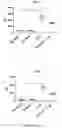Fig. 42 - LOSS OF FUNCTION RODENT MODEL OF SOLUTE CARRIER 39 MEMBER 5