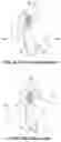 Fig. 05 - Artificial bait and split ring therefor