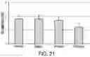 Fig. 22 - COMPOSITION WITH HIGH ANTIMICROBIAL ACTIVITY AND LOW TOXICITY