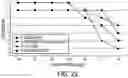Fig. 24 - COMPOSITION WITH HIGH ANTIMICROBIAL ACTIVITY AND LOW TOXICITY