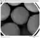 Fig. 04 - Compositions for improving nitrogen utilization in a ruminant