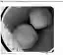 Fig. 08 - Compositions for improving nitrogen utilization in a ruminant