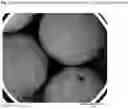 Fig. 14 - Compositions for improving nitrogen utilization in a ruminant