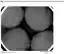 Fig. 16 - Compositions for improving nitrogen utilization in a ruminant