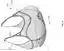 Fig. 09 - Breast support garment