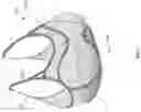 Fig. 07 - Breast support garment