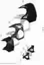 Fig. 08 - Breast support garment