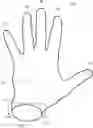 Fig. 01 - Thin organic solvent resistant glove