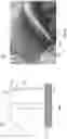 Fig. 02 - SWIMMING HEAD CAP