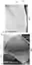 Fig. 03 - SWIMMING HEAD CAP