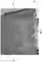 Fig. 05 - SWIMMING HEAD CAP