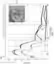 Fig. 24 - System for non-invasive measurement using cameras and time of flight detection