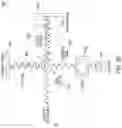 Fig. 81 - System for non-invasive measurement using cameras and time of flight detection