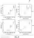 Fig. 93 - System for non-invasive measurement using cameras and time of flight detection