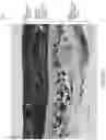 Fig. 98 - System for non-invasive measurement using cameras and time of flight detection