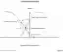 Fig. 07 - Methods and apparatuses for assessment and management of hemodynamic status