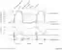 Fig. 14 - Methods and apparatuses for assessment and management of hemodynamic status