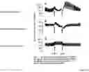 Fig. 23 - Methods and apparatuses for assessment and management of hemodynamic status