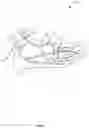 Fig. 06 - Vascular flow diagnostic system