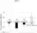 Fig. 11 - Biological information measuring apparatus, non-transitory computer-readable recording medium having stored therein a program for causing a computer to execute a process for measuring biological information, and method for measuring biological information
