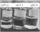 Fig. 01 - CYSTEINE COMPOSITION AND INJECTION