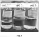 Fig. 02 - CYSTEINE COMPOSITION AND INJECTION