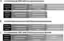 Fig. 01 - Gamma delta CAR-T cells comprising Fc gamma intracellular signaling domains