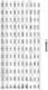 Fig. 04 - Multilayer white printing with white-balance