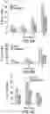 Fig. 06 - Radiolabeled microtubule imaging compounds and uses thereof