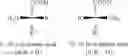 Fig. 05 - Cyclic peptide immunomodulators