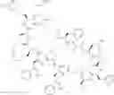 Fig. 12 - Cyclic peptide immunomodulators
