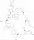 Fig. 21 - Cyclic peptide immunomodulators