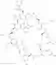 Fig. 22 - Cyclic peptide immunomodulators