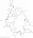Fig. 23 - Cyclic peptide immunomodulators