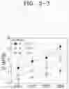 Fig. 19 - Ink composition for bioprinting and hydrogel formed from the same