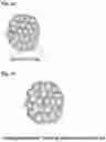 Fig. 02 - Fragrant material having long-lasting fragrance and method for preparing same
