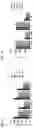 Fig. 06 - ENGINEERED ERYTHROID CELLS INCLUDING LOADABLE ANTIGEN-PRESENTING POLYPEPTIDES AND METHODS OF USE