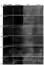 Fig. 06 - ECTODERMAL MESENCHYMAL STEM CELLS AND METHOD FOR PRODUCING SAME