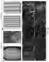 Fig. 07 - Protein-induced pluripotent cell technology and uses thereof